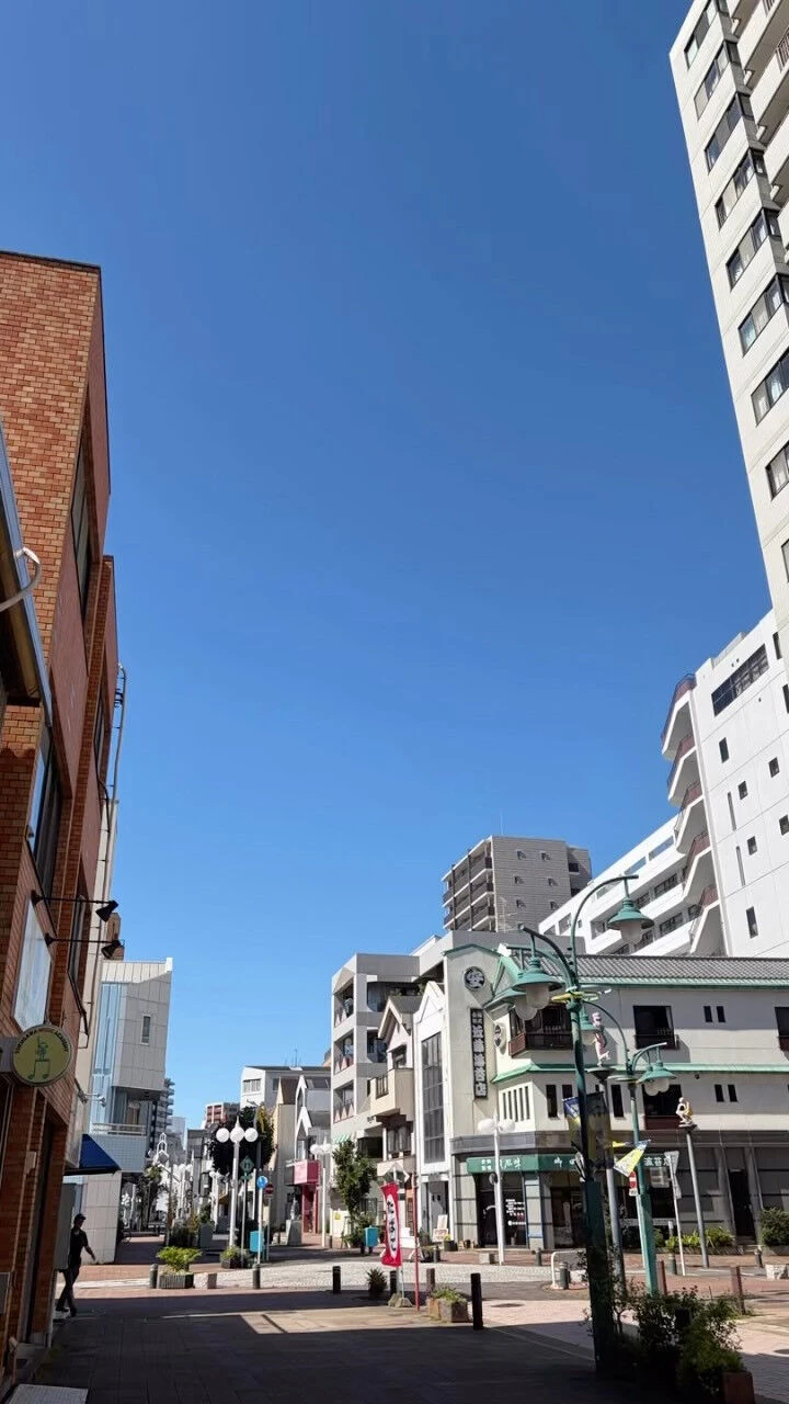 青空が広がる気持ちの良い一日ですね🌞